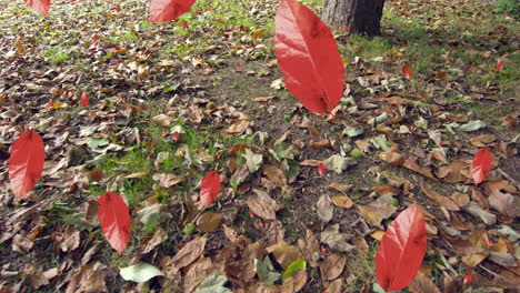 animación de las hojas de otoño que caen contra la vista de cerca de las hojas caídas en el suelo