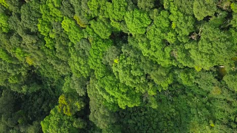 overhead drone view of hill and forest in tropical country indonesia