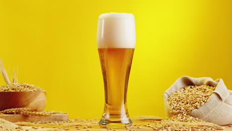 glass of beer with barley grains