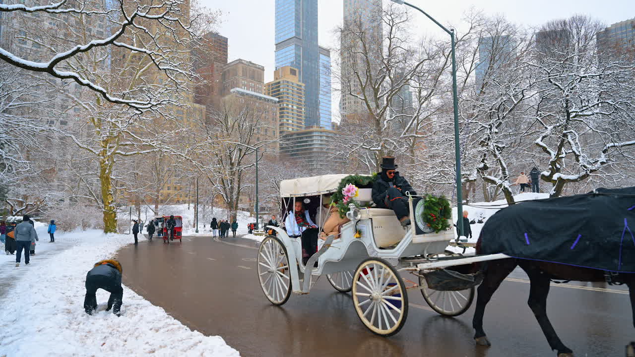New York, USA, 19 dicembre 2025: Carrozza trainata da cavalli con ghirlande e festoni decorati passa accanto a Central Park, New York, USA. Edifici di Manhattan sullo sfondo.