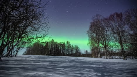 shadows creeping over a snowy meadow while stars and the aurora borealis glow - time lapse