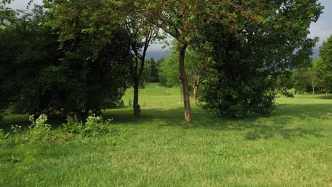 Establishing shot of disc golf course