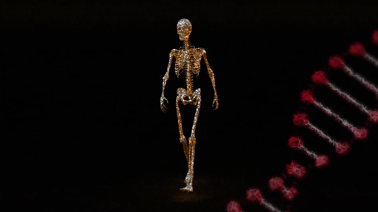 анимация 3d красной нити днк, вращающейся над человеческим скелетом