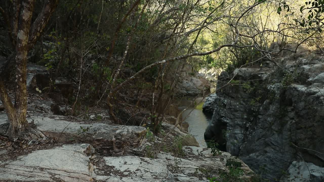 Ruscello di Yelapa che attraversa una gola rocciosa, mostrando formazioni naturali e una rigogliosa vegetazione a Jalisco, Messico.