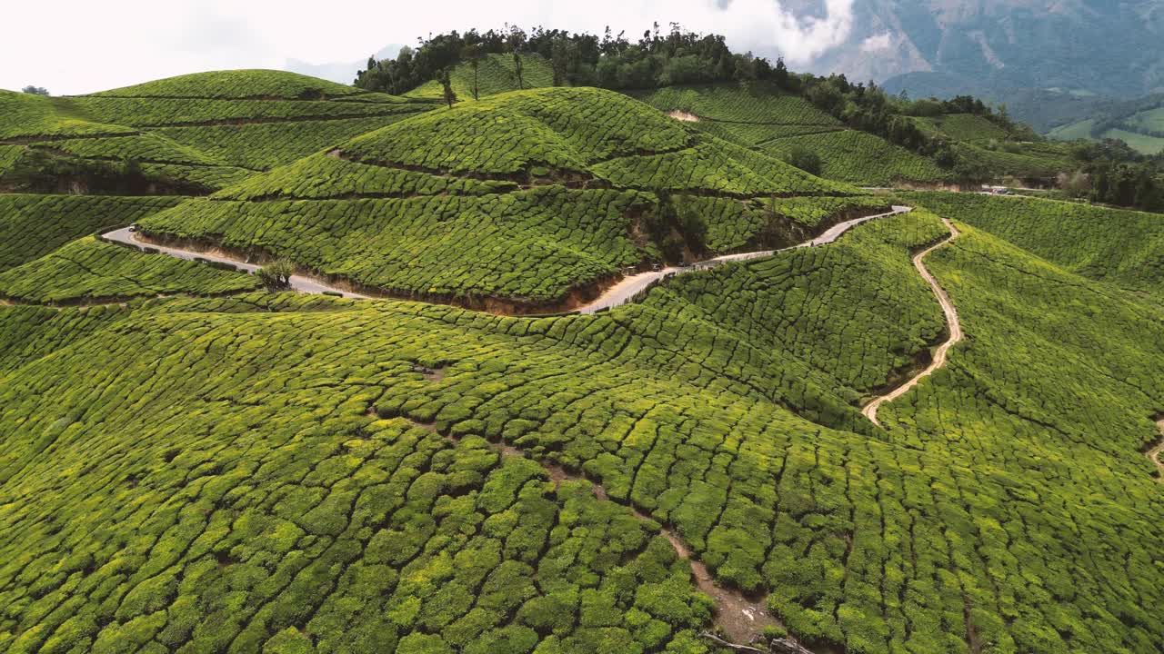 Colline di piantagioni di tè verde con cielo blu sullo sfondo a Munnar, Kerala, India