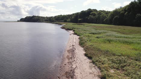 Drone-flying-low-over-the-coast-along-the-reed-on-the-bank---Dolly-Shot