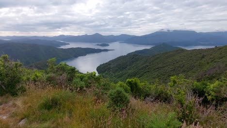 the view from the highest point of the queen charlotte track in the south island of new zealand