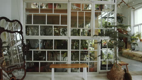 jardín interior con plantas de interior