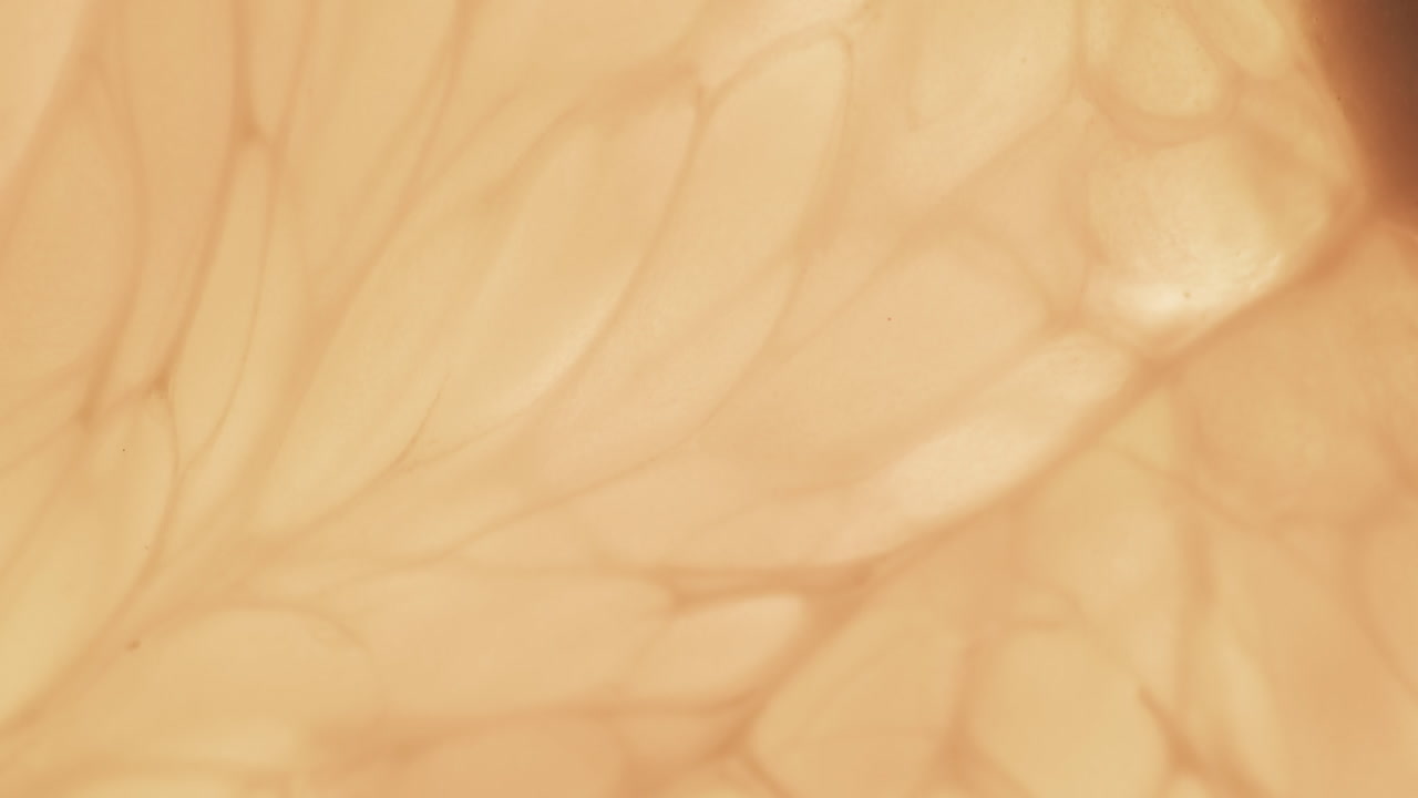 복사 공간과 함께 오렌지 조각의 클로즈업의 마이크로 비디오