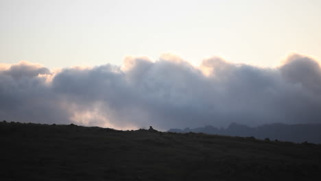 A-person-walks-with-their-dog-on-a-grassy-hill-near-sunset