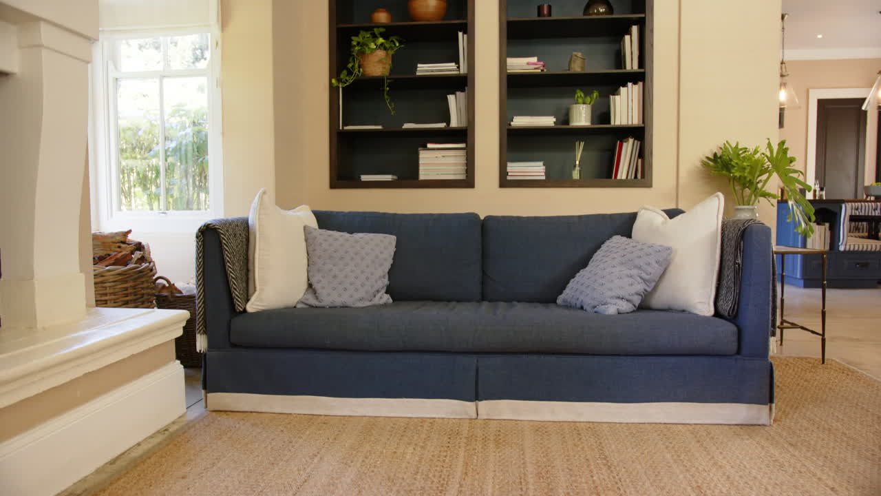 Blue sofa with white pillows in cozy living room with bookshelf and window, copy space