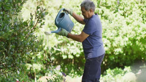 video of focused biracial senior man watering plants in garden