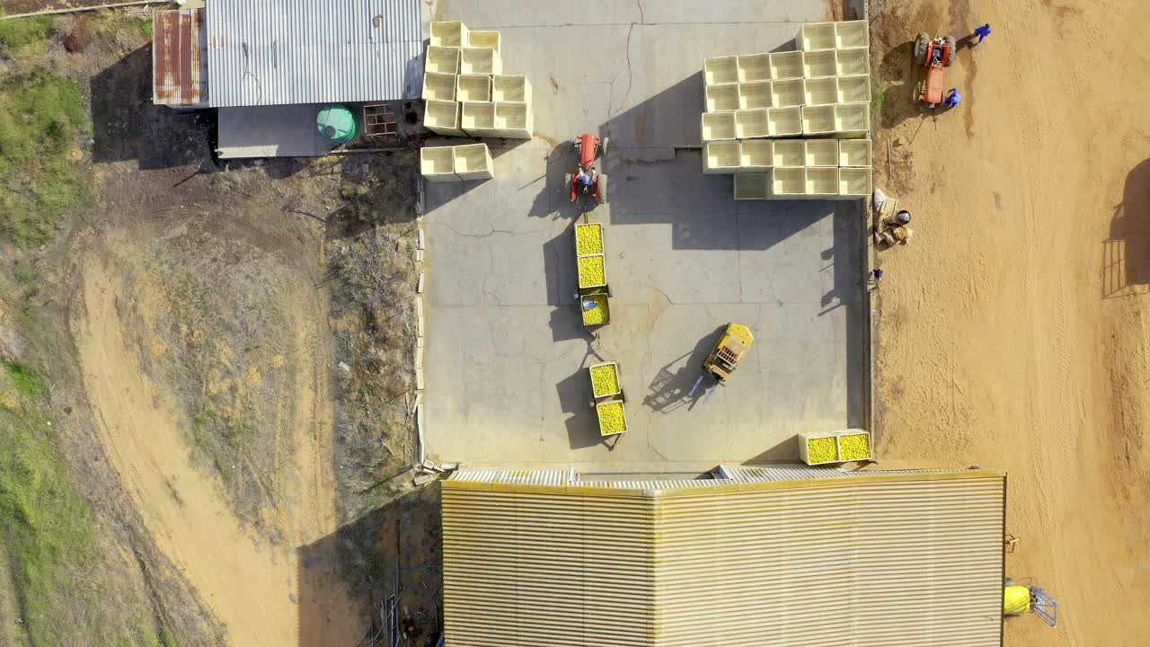 pronto llegará a un mercado cerca de usted