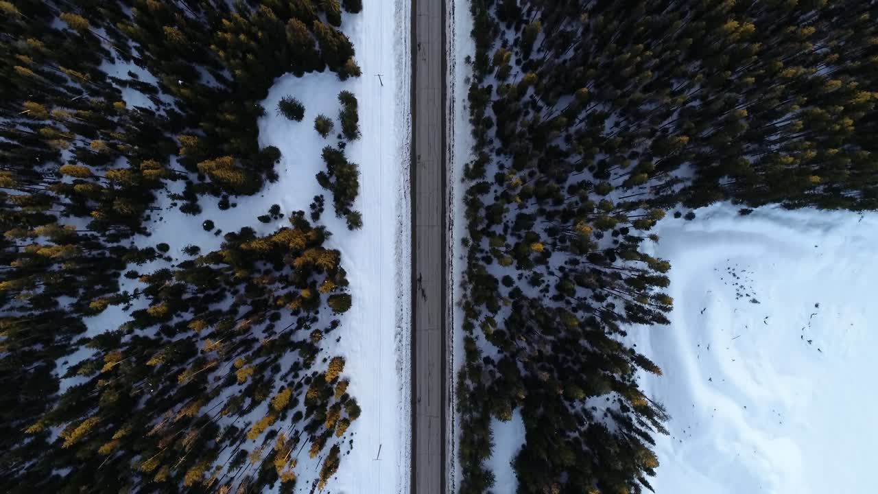 Birdseye Aerial View of Empty Straight Road in a Cold Winter Mountain Landscape, Snow Capped Fields and Conifer Forest