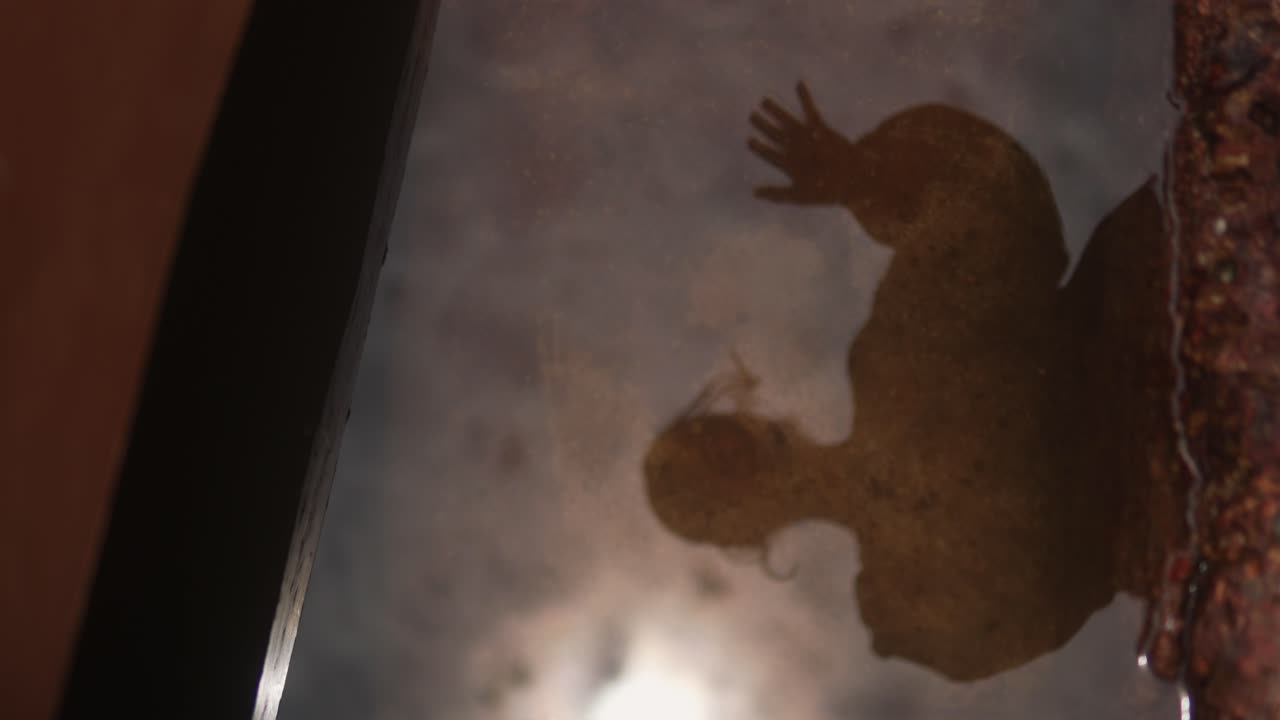 Shadowy reflection of a person in water, creating a mysterious and eerie atmosphere