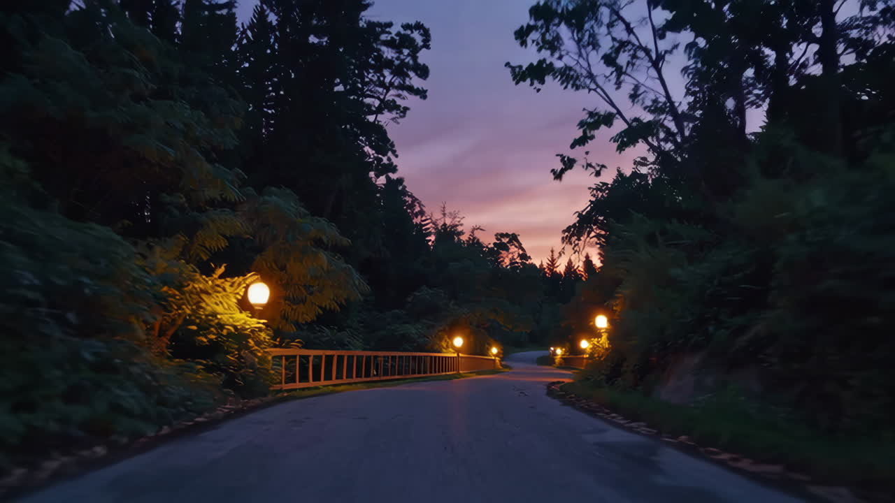 Sunset Drive Through the Forest