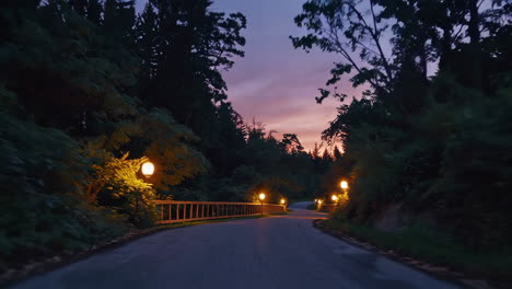 sunset drive through the forest