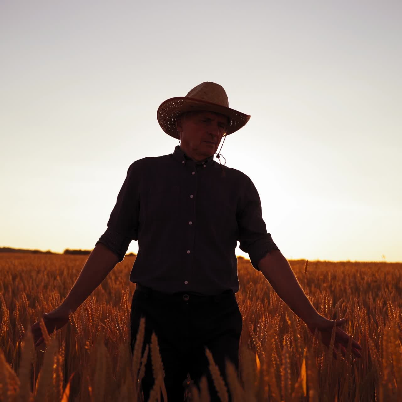 Male agronomist on golden field. Farmer in hat walks along the agriculture field with ripe spikelets at the setting sun.