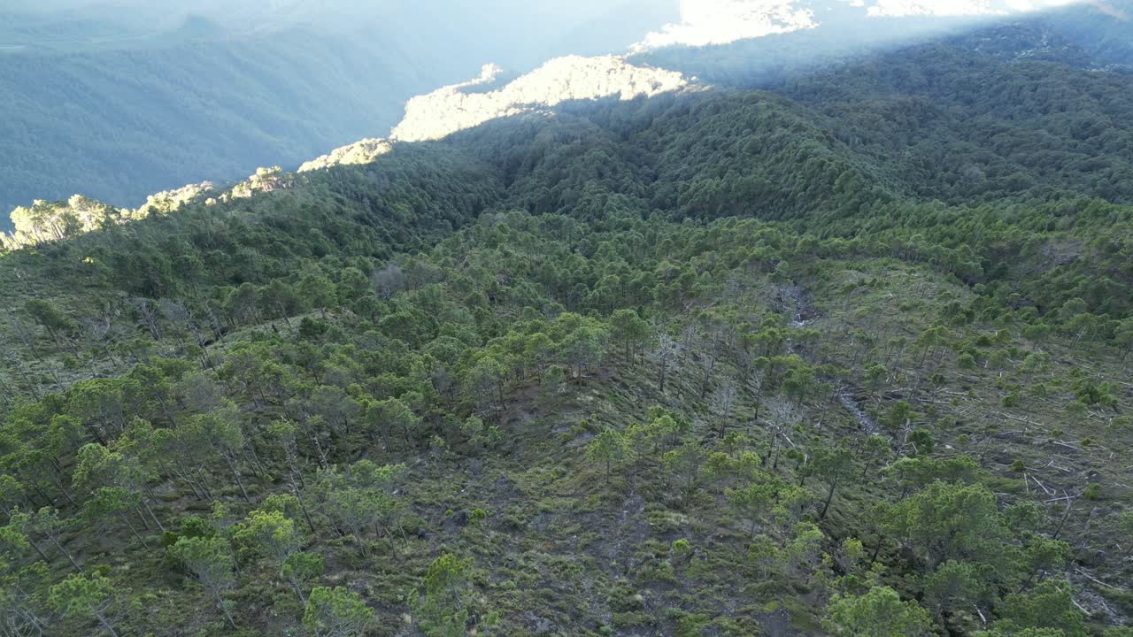 vista de avión no tripulado en guatemala volando sobre una montaña volcánica cubierta de árboles verdes al amanecer rodeada de montañas verdes