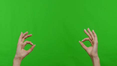 woman hands clapping applause over green chroma key background