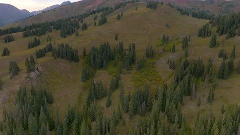 aerial of trees and a ridge line with a mountain peak beyond in crested butte, colorado on a beautiful day