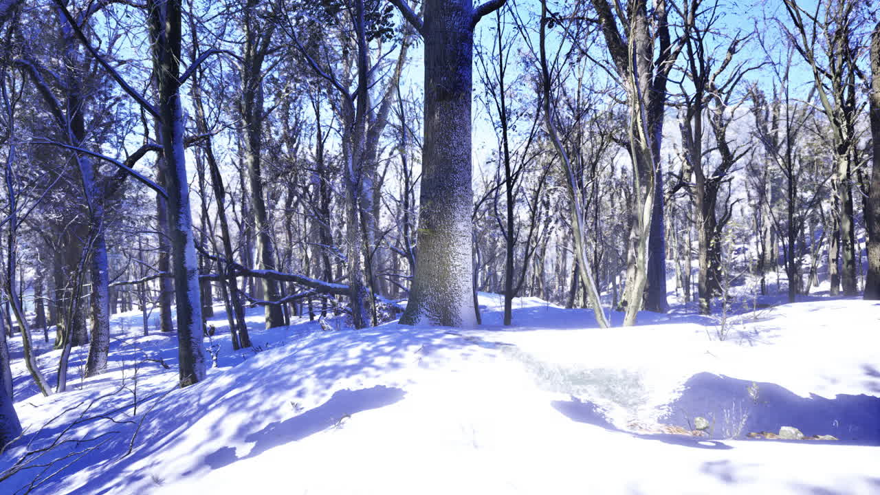 Winter wonderland reveals a serene landscape under soft white snow