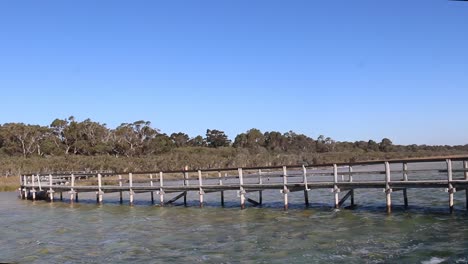 lake clifton thrombolites and old curved wooden jetty near perth, wa