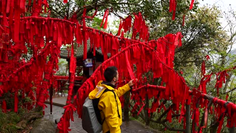 european tourist checking red ribbons attached on trees in zhangjiajie