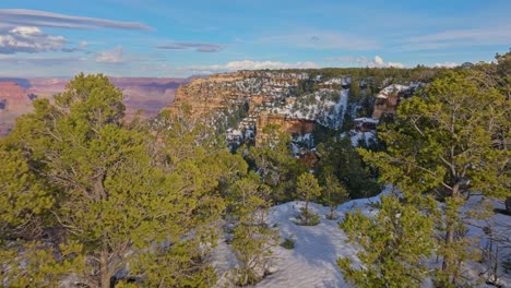 árboles-Encima-De-Formaciones-Rocosas-Nevadas-En-El-Parque-Nacional-Del-Gran-Cañón-En-Arizona