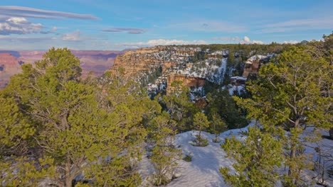 árboles encima de formaciones rocosas nevadas en el parque nacional del gran cañón en arizona