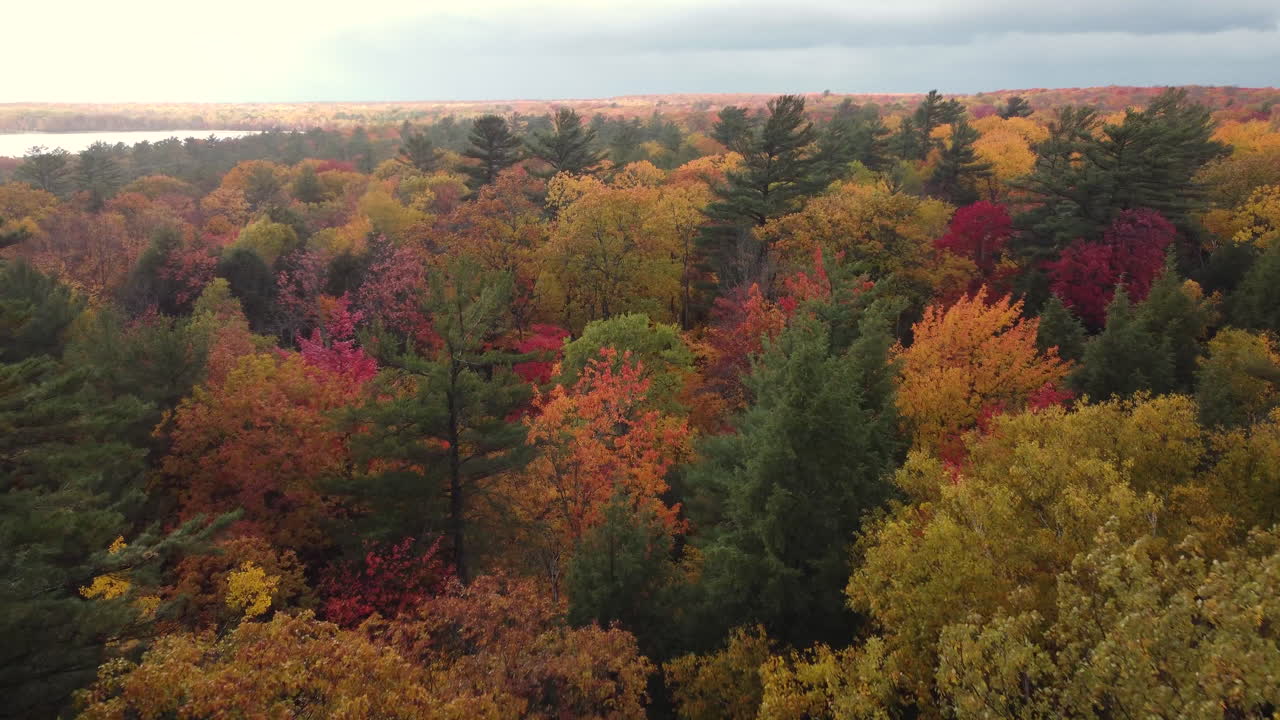 vuelo cinematográfico sobre los bosques de colores otoñales del parque provincial killbear durante la llovizna matutina ventosa y el cielo nublado