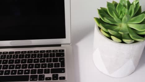 Aloe-vera-plant,-laptop-and-cup-of-coffee