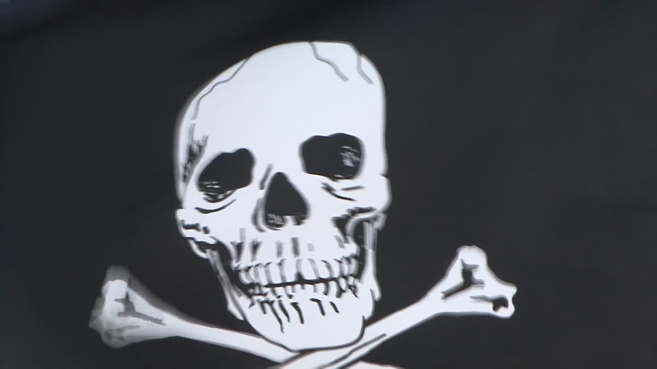 bandera pirata ondeando en el viento