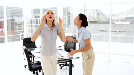 Businesswomen-arguing