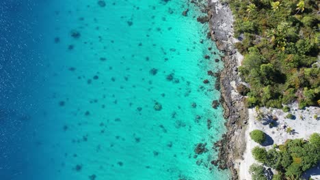 Aerial,-drone-shot-of-the-shallow,-clear-water-and-coral-reef-of-the-lagoon-of-the-atoll-of-Fakarava-in-French-Polynesia