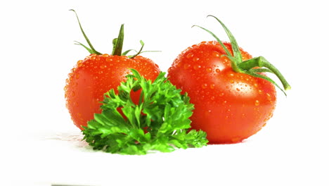 beautiful red cherry tomatoes with clear water drops isolated on white background