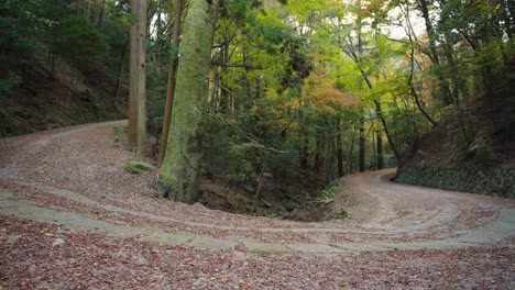 escena de otoño en la carretera de montaña, nara japón