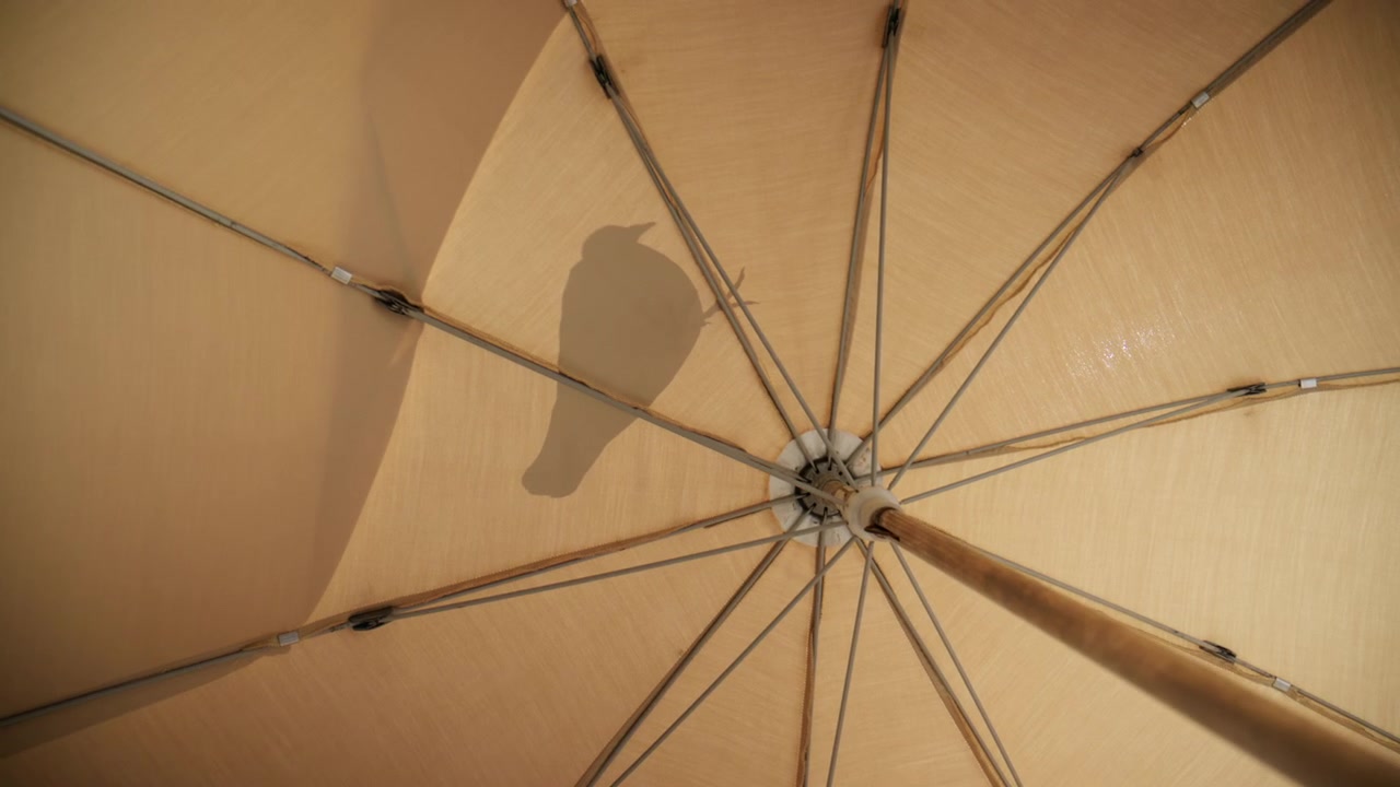 Vue d'en bas depuis sous un parasol de plage beige, avec la lumière du soleil projetant l'ombre douce d'un pigeon marchant sur le tissu.