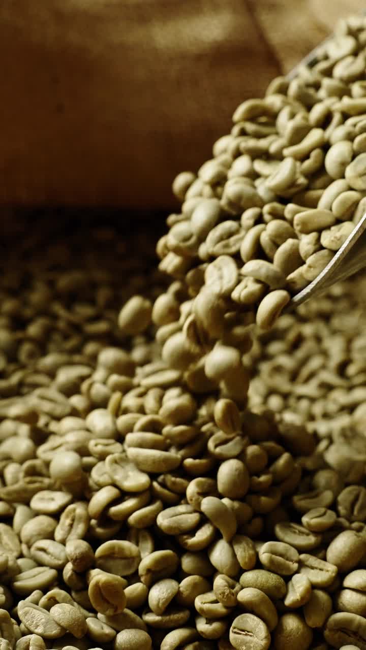 Chicchi di caffè verde che si versano da una paletta su un mucchio