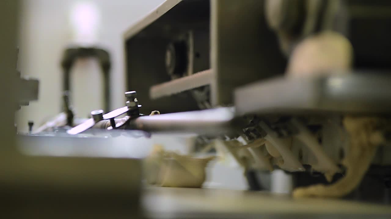 Industrial machine cuts raw dough into even round balls traveling over conveyor belt inside bread factory