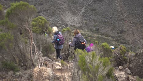 Mittlere-Aufnahme-Von-Zwei-Wanderinnen,-Die-Mit-Ausrüstung-Den-Kilimandscharo-Hinuntergehen-Und-Auf-Andere-Wanderer-Warten