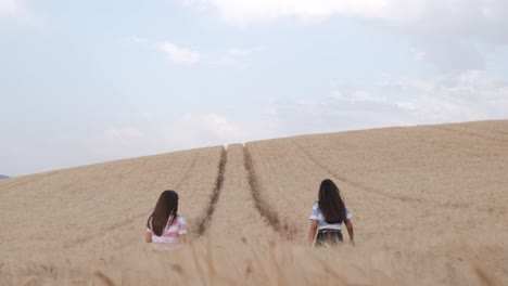 two young female friends enjoying the nature together while walking in a wheat field.