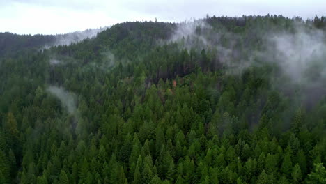 Toma-Aérea-De-Un-Dron-De-Una-Cadena-Montañosa-Nublada-Llena-De-Pinos