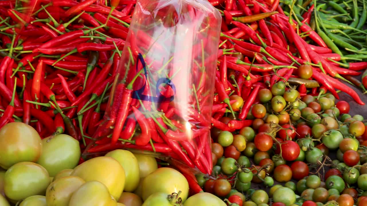 Hand places red chilies into plastic bag with tomatoes, green beans, in vibrant daylight overhead