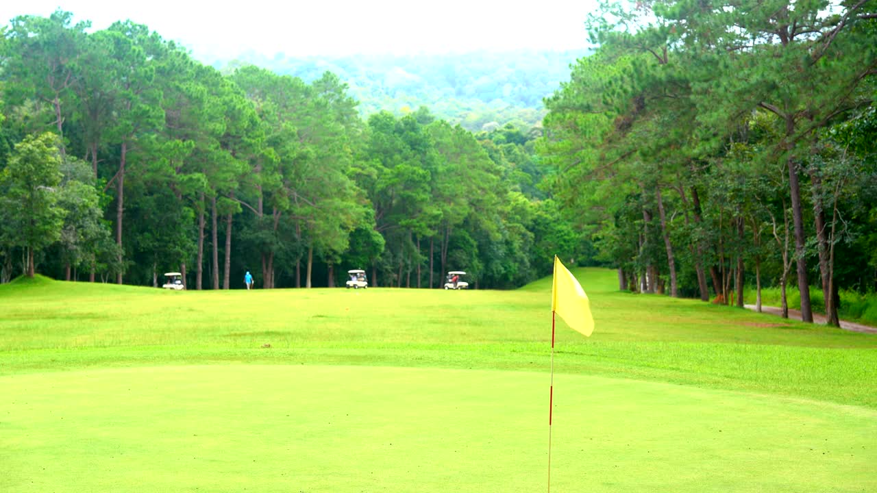 골퍼를위한 골프 코스는 아름답고, 산에서 산에서 숲에서 휴가를 보내거나 여름 휴가 동안 휴식을 취할 수 있습니다. 그것은 골프 카트를위한 아름다운 페어웨이와 레이아웃입니다.