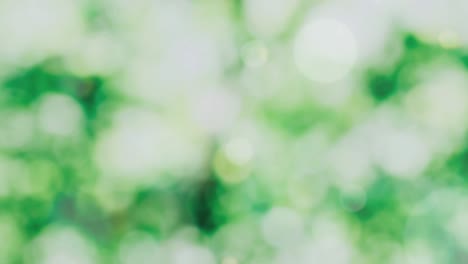 Abstract spring background with bokeh