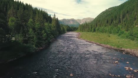 forward panning drone shot over a river and gradually crane down, next to a road in a forest