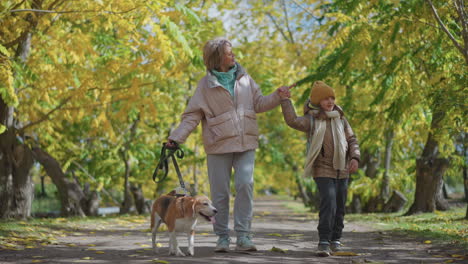 mom holding daughter hand and showing hair gesture while walking spirited dog on leash under golden autumn trees, warm interaction and caring moment on leafy park path with breeze rustling leaves