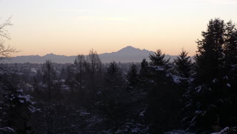 Winter-landscape-with-birds-flying-during-sunset,-Mt-Baker-in-background