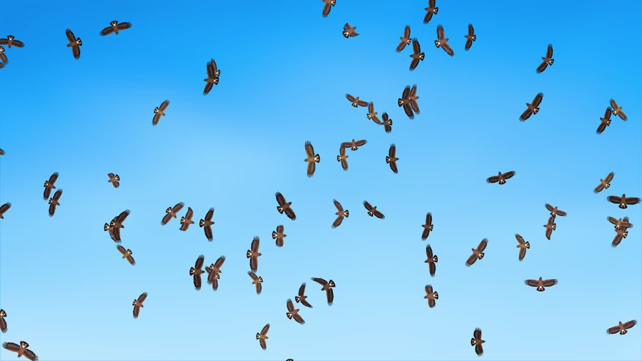 A group of eagles seagulls flies against the wind sky in the background a group of birds of eagles